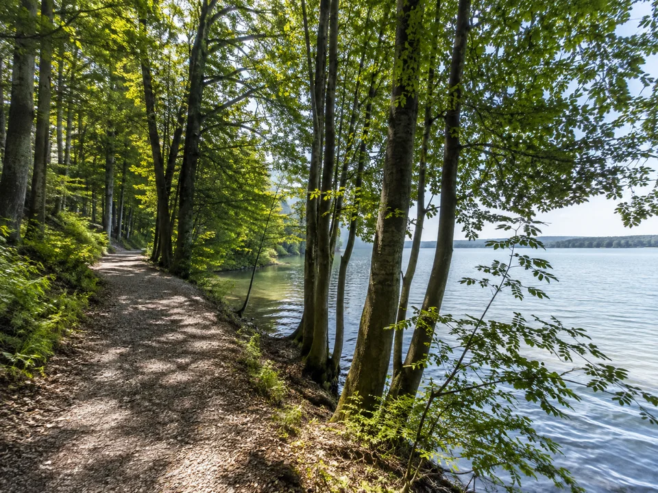Wartaweil am Ammersee: schattiger Uferwald mit Buchen, Kiesweg und ruhiger Wasserfläche zwischen Stämmen