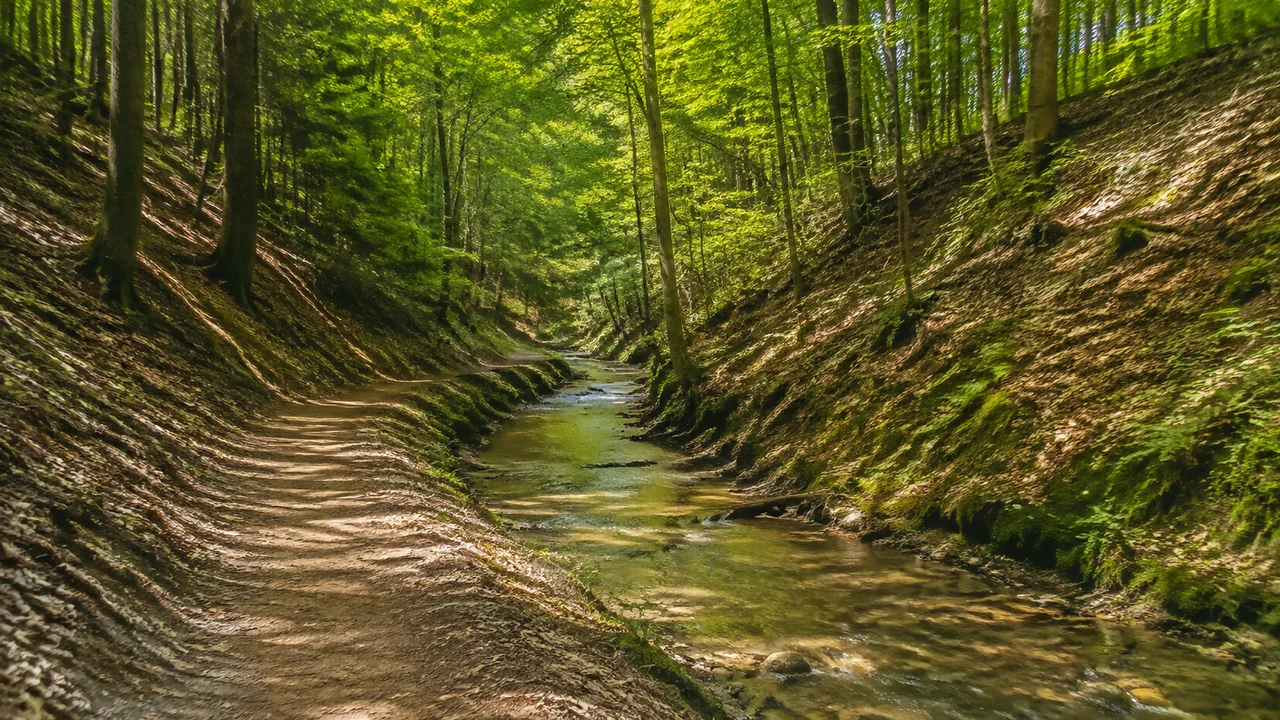 Herrsching am Ammersee: Herrsching Bahnhof: Kiental bei Herrsching: kleiner Bach in bewaldetem eingeschnittenem Moränental, Laubbäume und erdiger Wanderweg, keine Felsklamm
