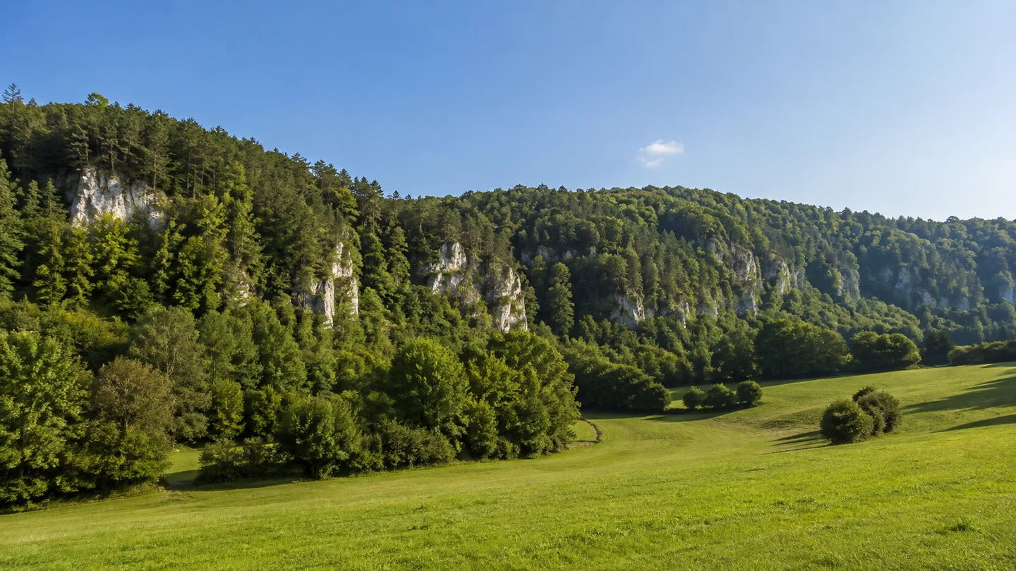 Hersbrucker Schweiz: Vorra Bahnhof: Talhänge bei Vorra: Pegnitztal bei Vorra mit niedrigen weißen Kalkfelsen in dicht bewaldeten Hängen über grünen Talwiesen, keine Alpen.