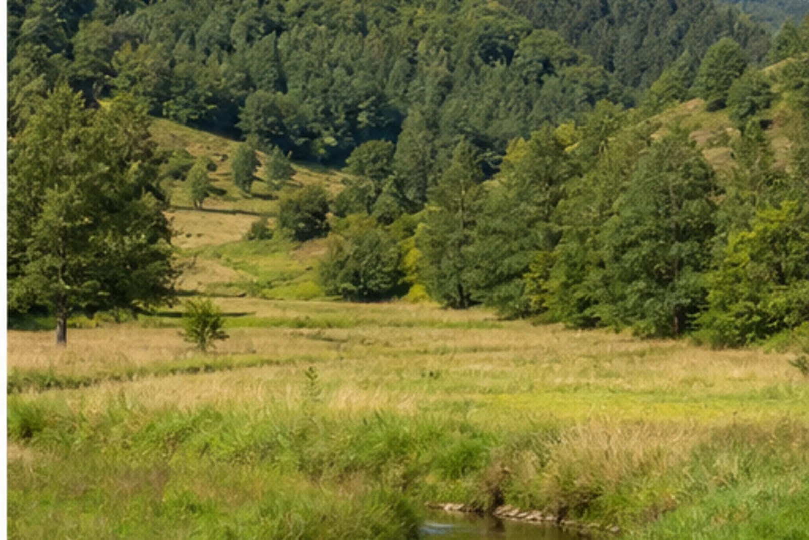 Bach und Wiesen im Herscheider Tal