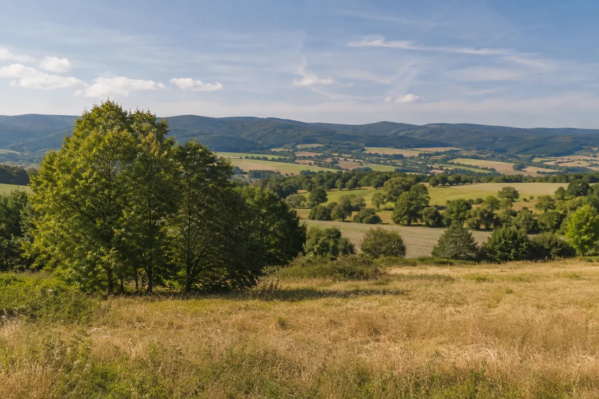 Offene Feldlandschaft bei Pöhlde mit Laubgehölzen, mäßig gewelltem Gelände und Harzhängen am nördlichen Horizont