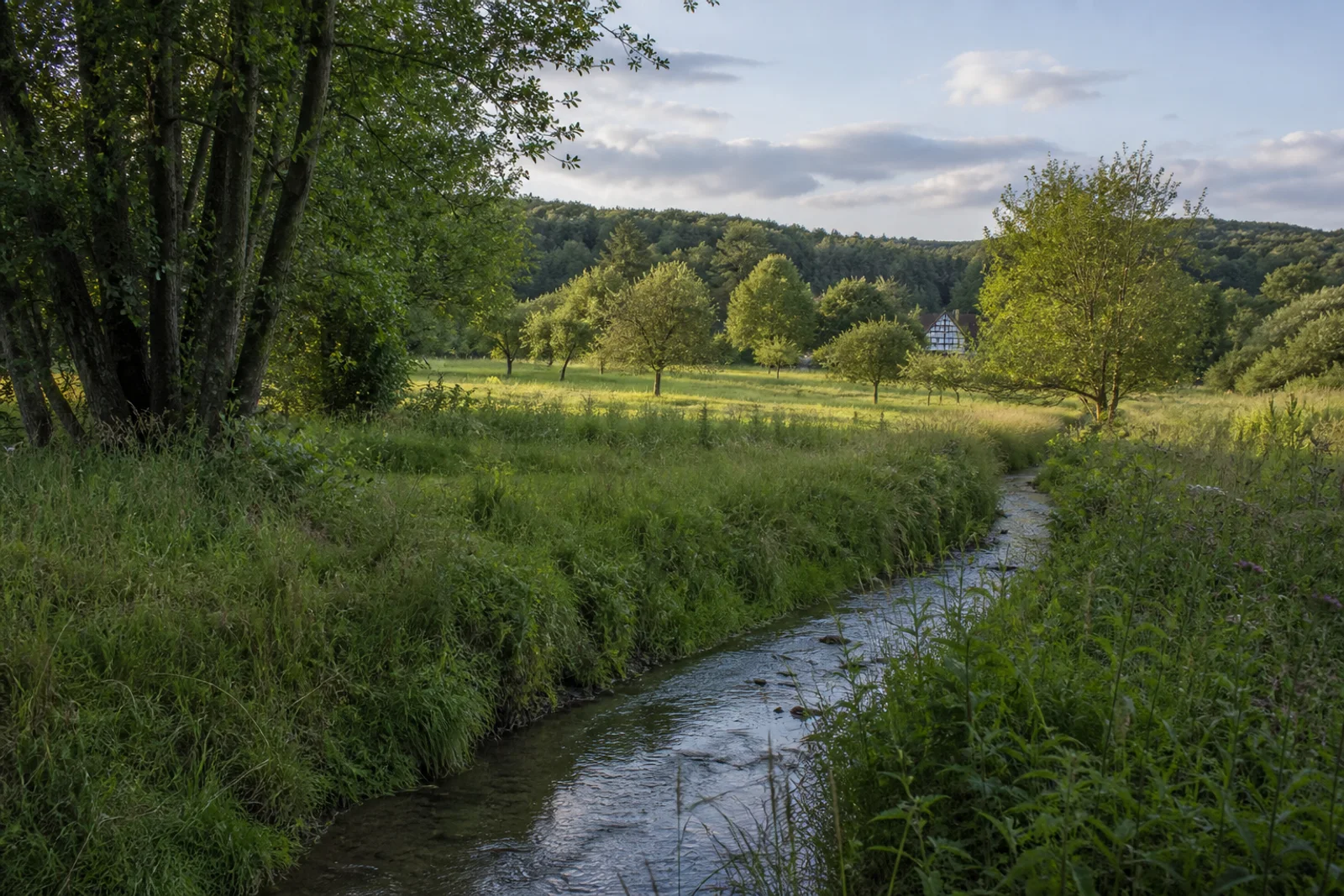 Mittleres Wurmtal in Wurmtal
