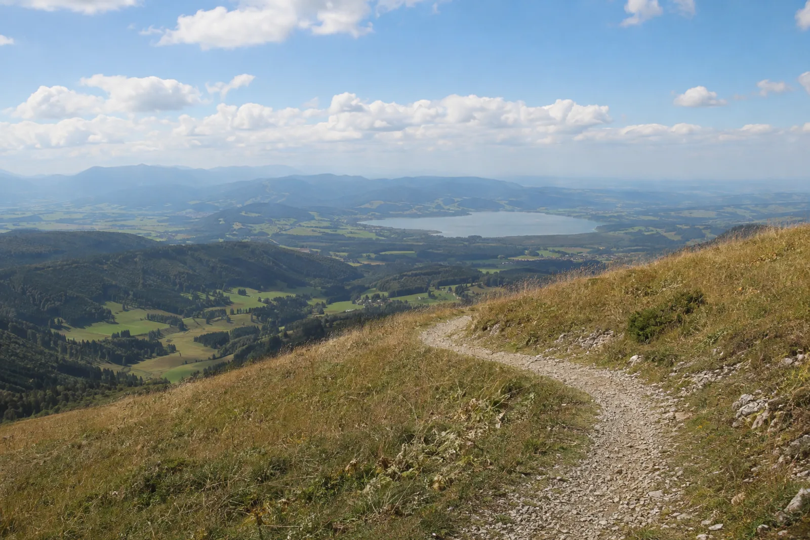 Kochelseeblick: Tiefblick auf Kochelsee und Loisachmoor vom Bergfuß