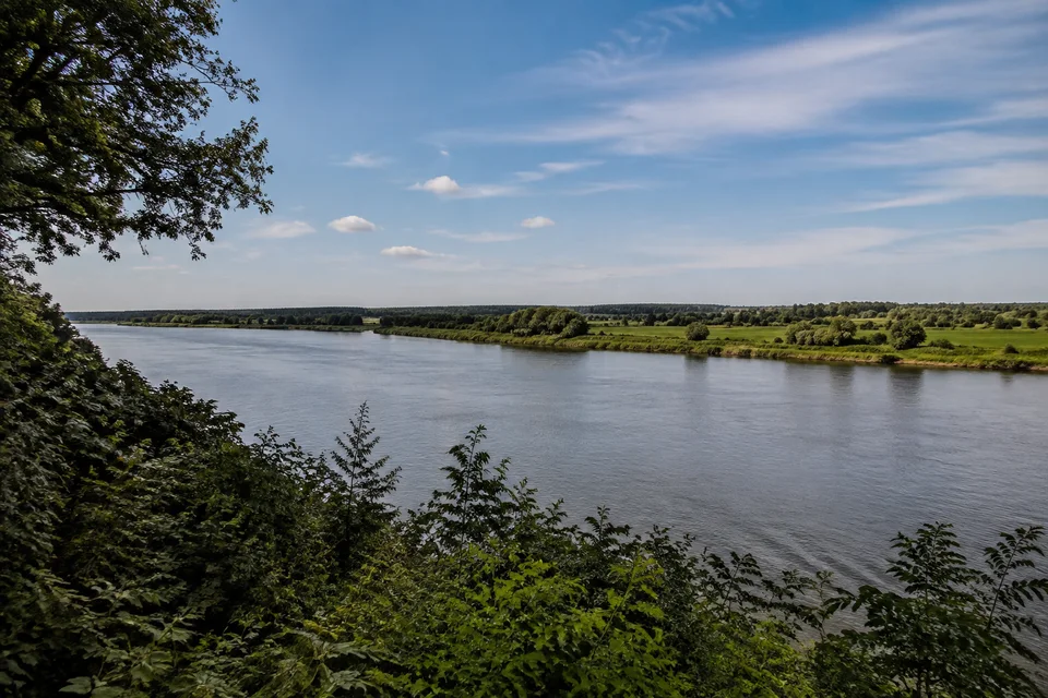 Elbrand bei Lauenburg: Breiter ruhiger Elbestrom mit flachem gegenüberliegendem Grünland, Blick vom bewaldeten höherliegenden Ufer