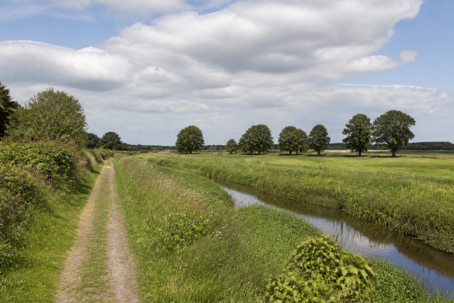 Bustedter Wiesen beim Wandern in Hiddenhausen