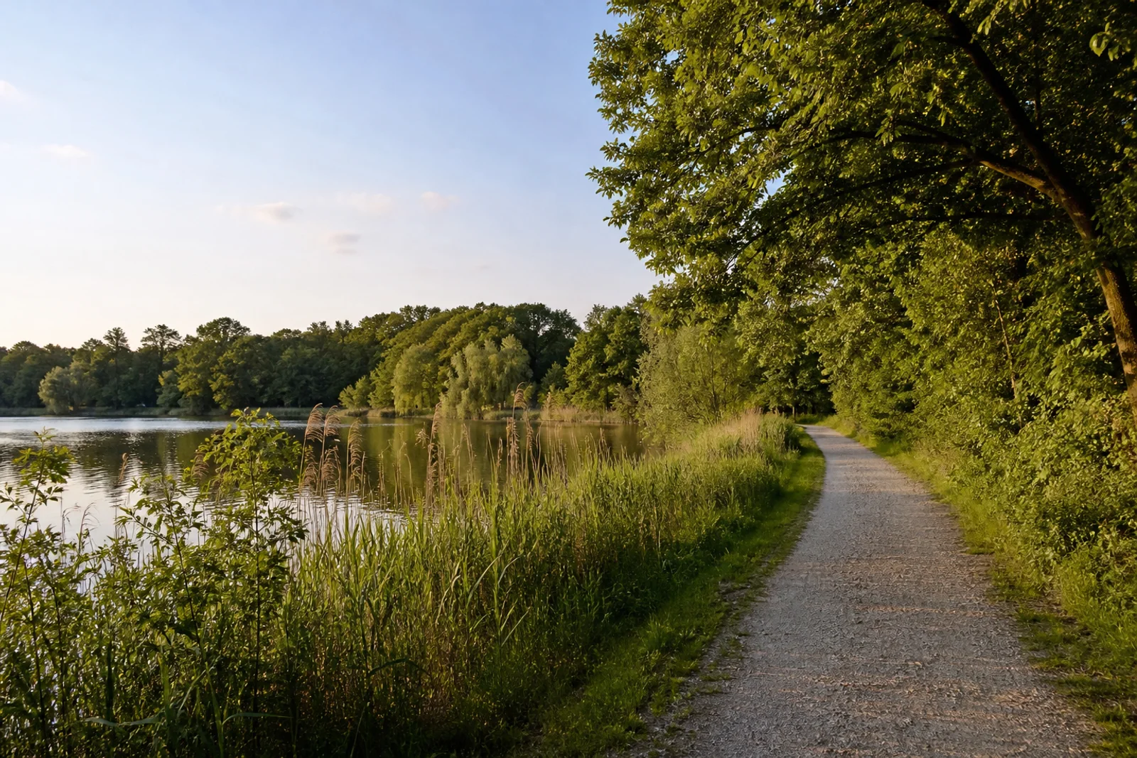 Uferweg am Elbsee in Hilden