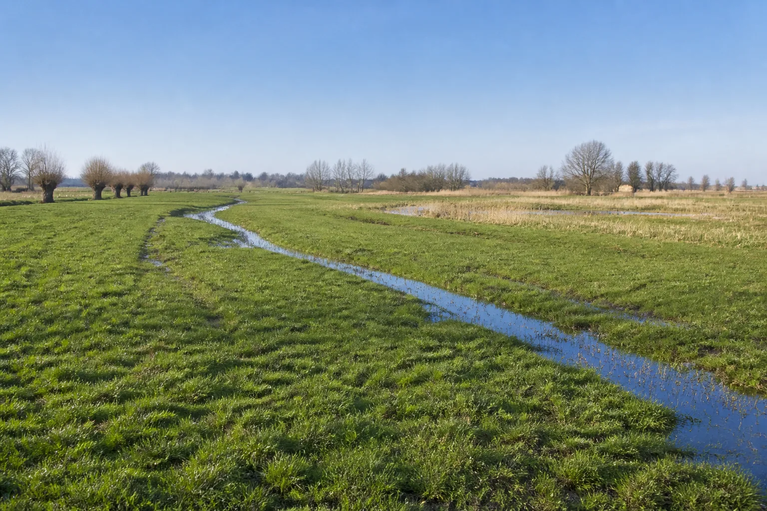 Bastauwiesen in Hille