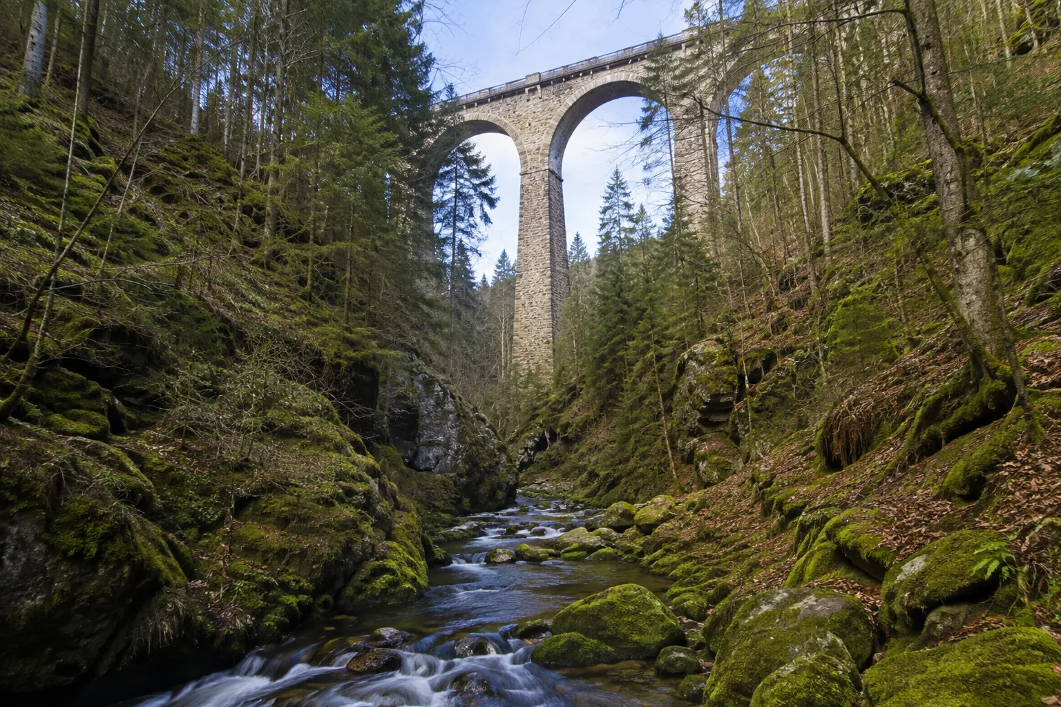 Ravennaschlucht: felsiger Bachlauf unter dem markanten Eisenbahnviadukt