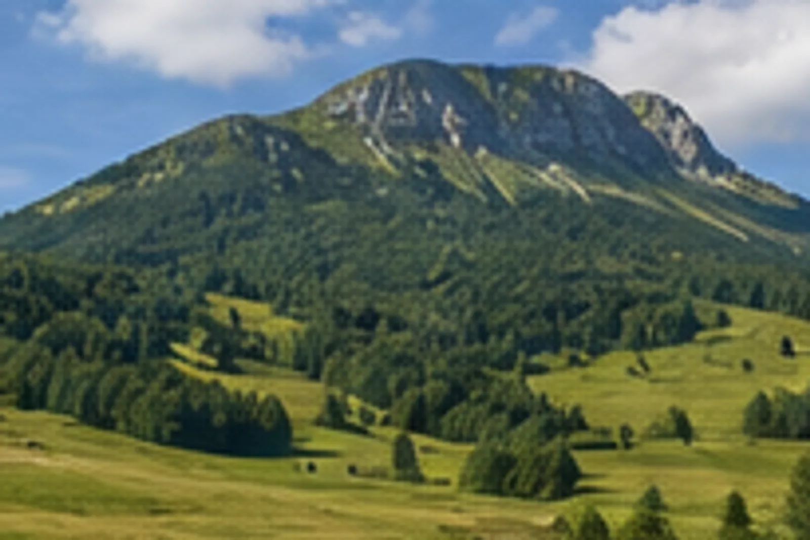 Bründlingblick: Almwiesen unter dem steileren Gipfelhang