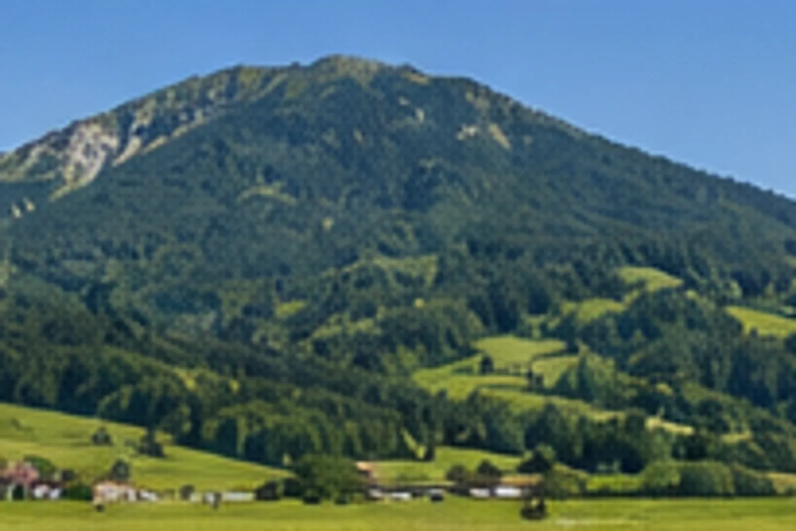 Hochfelln: Hochfelln-Zugänge: Hochfelln: bewaldeter Berg mit offenen Gipfelwiesen über dem Chiemgau