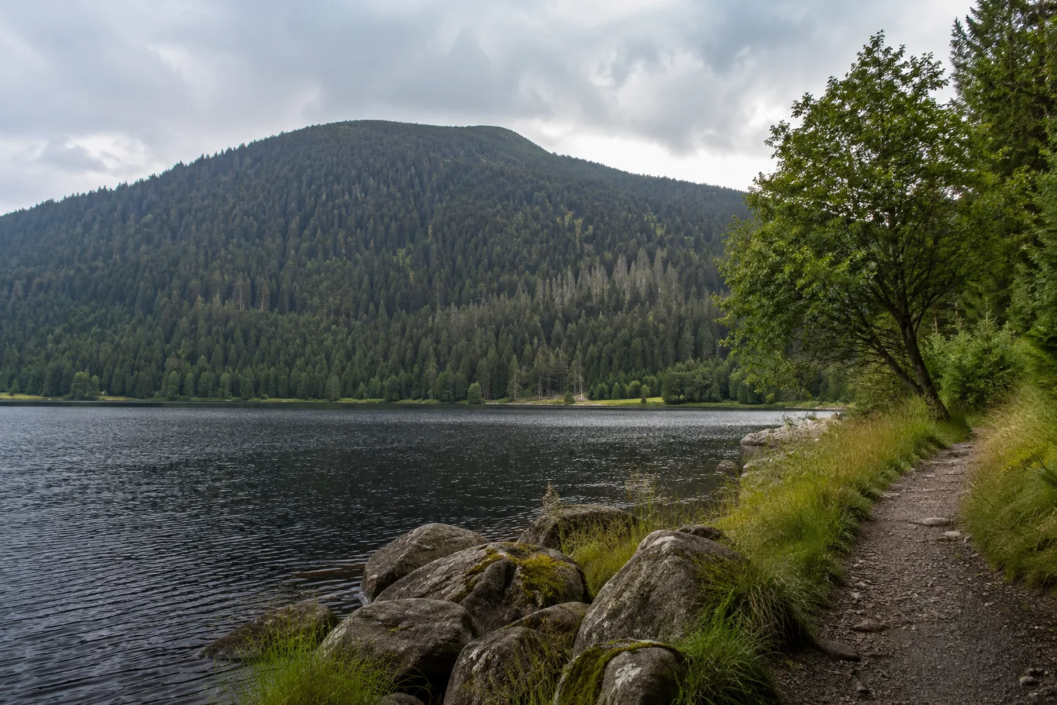Titisee und Hochfirst: bewaldeter See mit steilem Hochfirst-Rücken