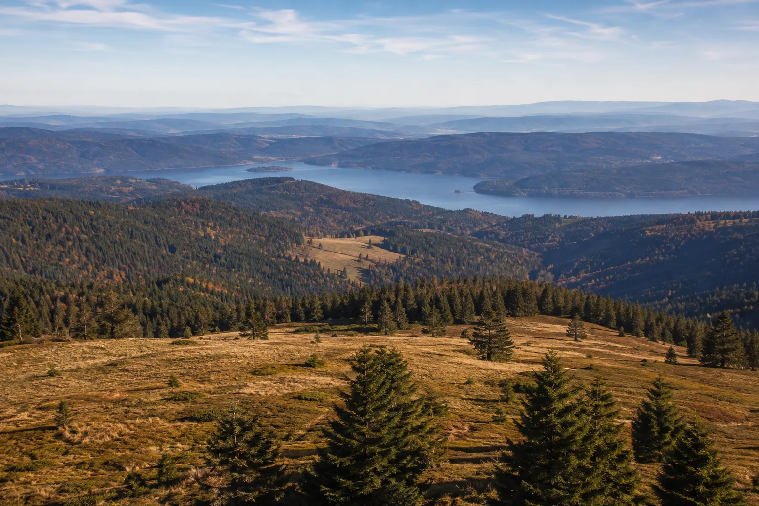 Feldberg und Schluchsee: weite Hochweiden und ein großer Stausee unter bewaldeten Rücken