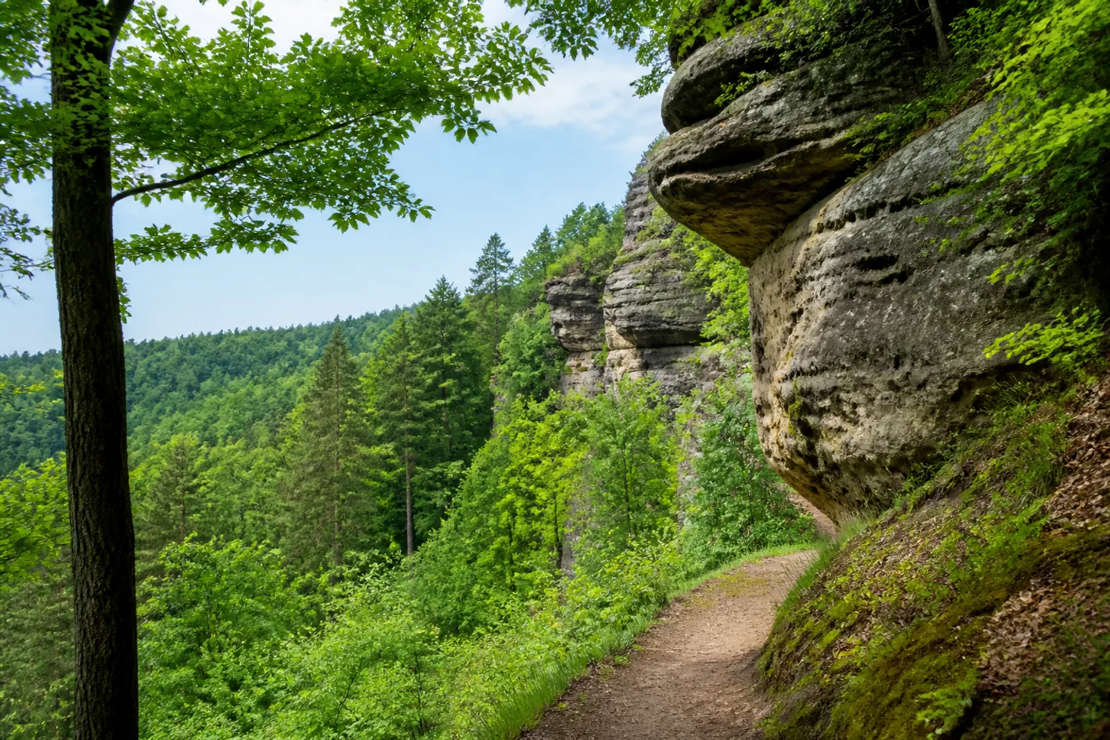 Hörstel: Sandsteinfelsen der Dörenther Klippen über Wald