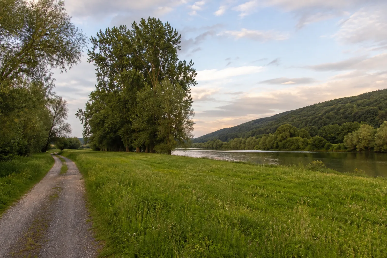 Wiesenweg im Weserbogen bei Corvey in Höxter