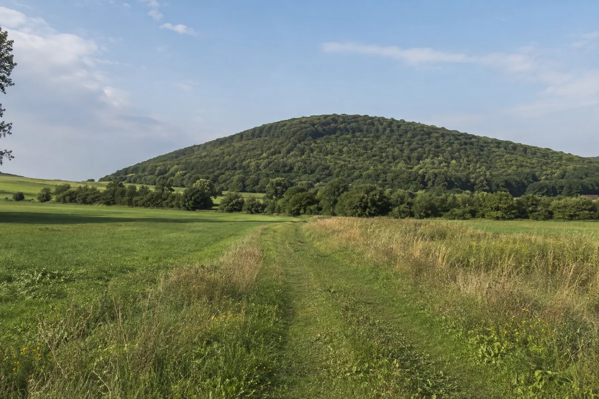 Schöneberg: landwirtschaftliche Wiesen am Fuß des bewaldeten Burghügels ohne erfundene Ruine