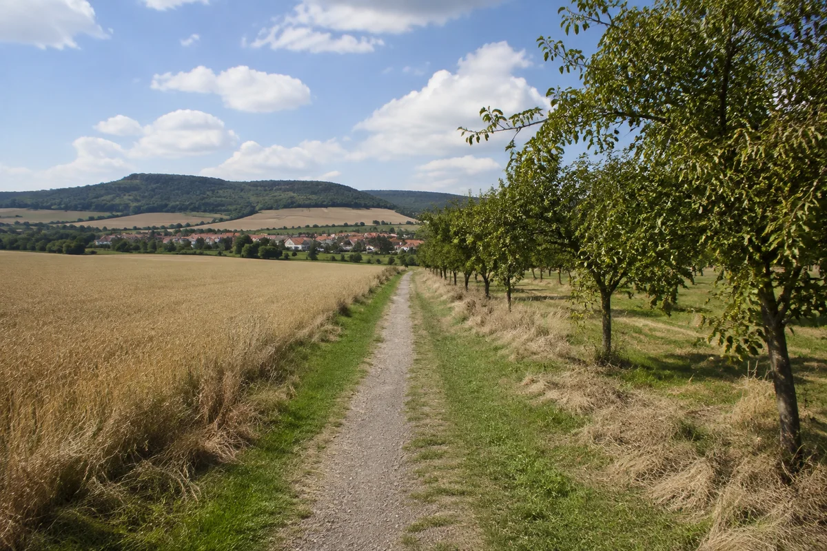 Friedrichsdorf: schmaler Feldweg zwischen Äckern und Obstbäumen mit entfernten niedrigen Dorfhäusern
