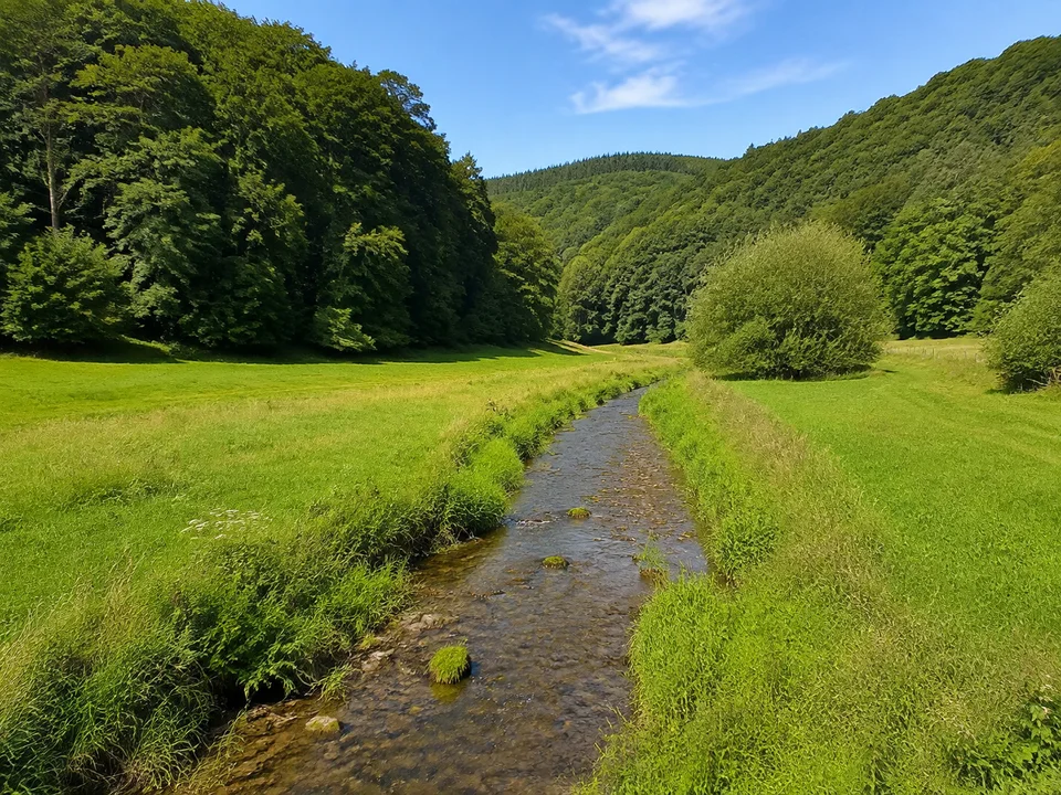 Schwarzbachtal bei Lorsbach: Schmaler Bach zwischen grünen Wiesen unter niedrigen dicht bewaldeten Hängen