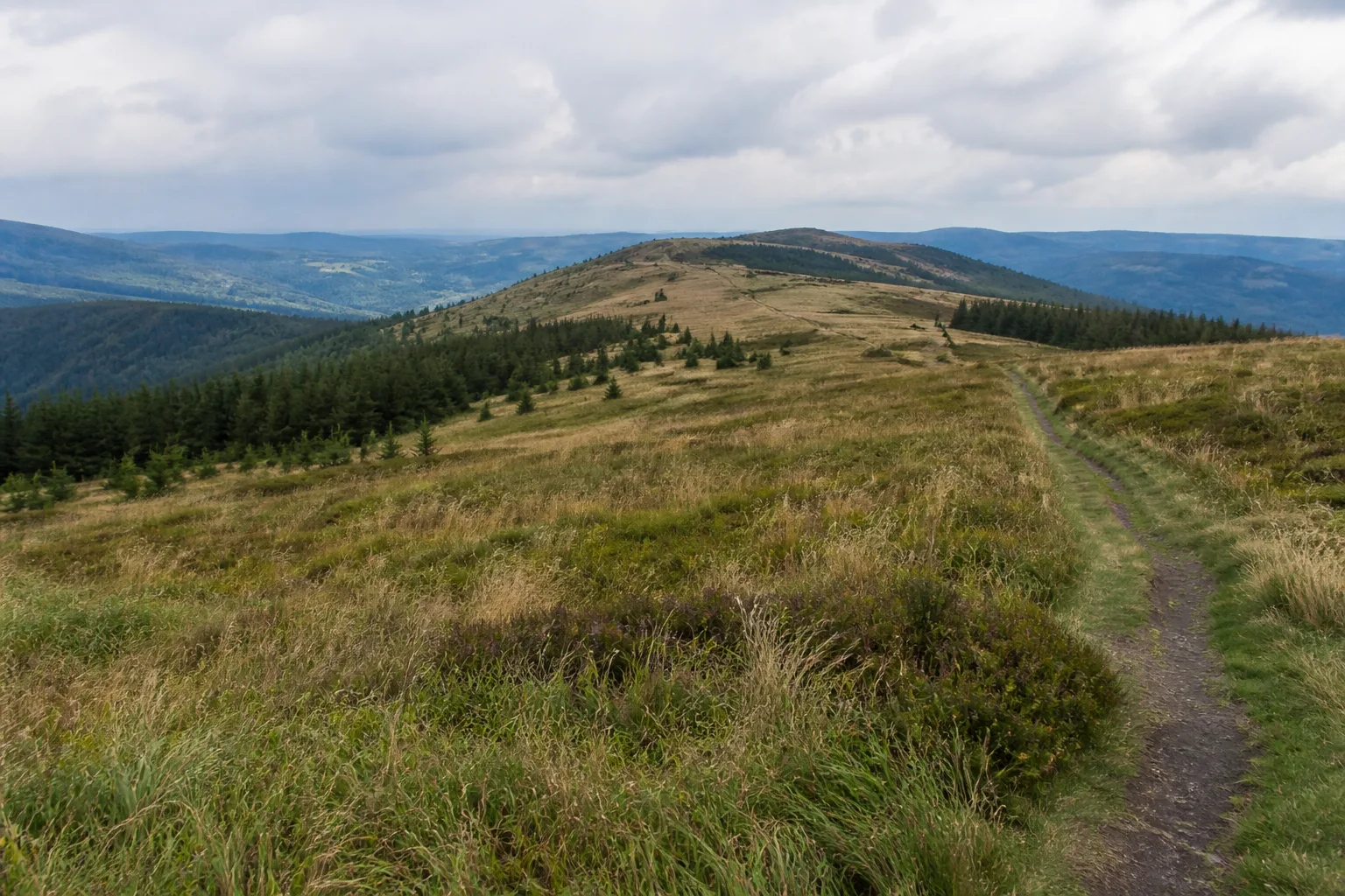 Grenzweg und Schneepfad auf dem Rothaarkamm