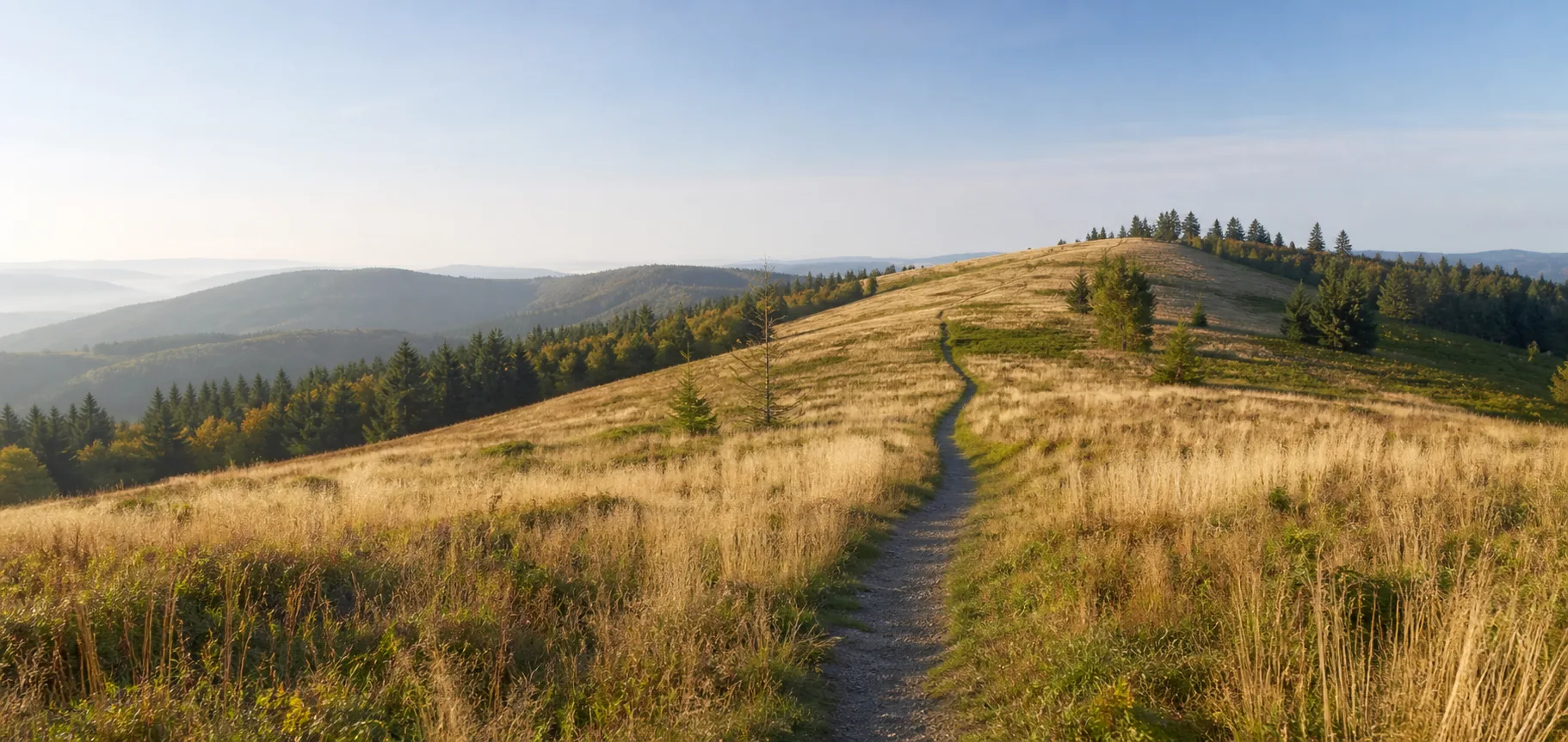 Hoheleye: Rothaarkamm bei Hoheleye