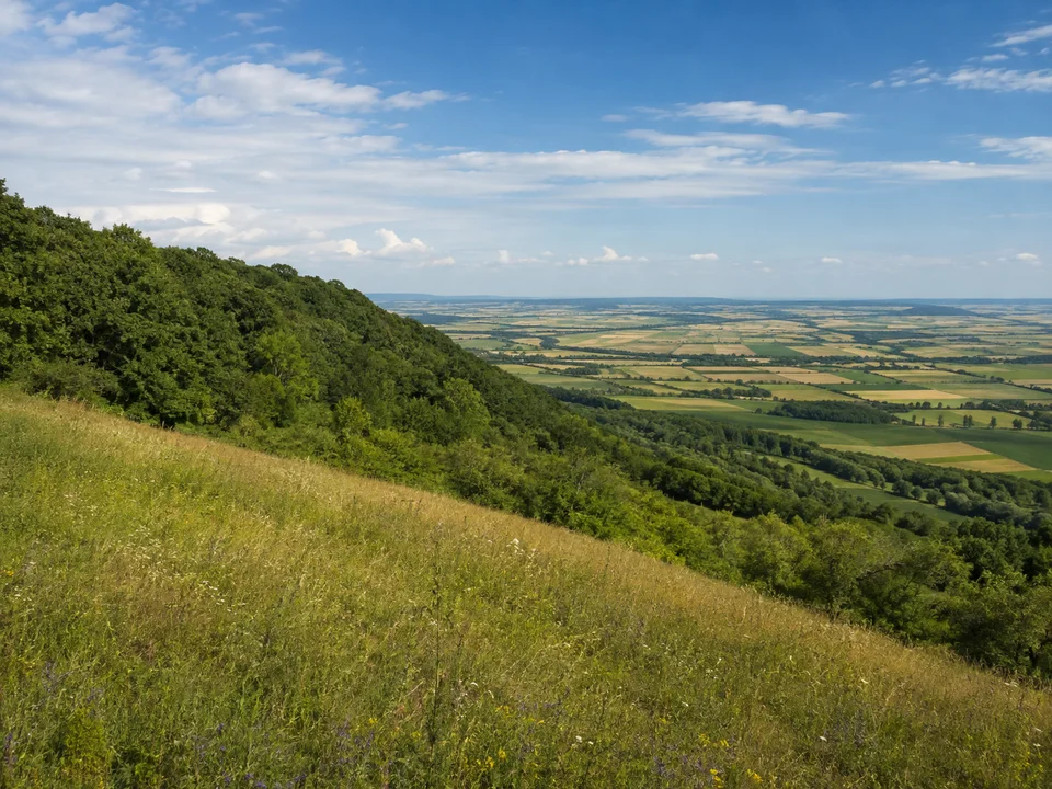 Waldenburger Höhen: Wiesenhang an bewaldetem Keuperrücken mit weiter Aussicht über flacheres Hohenloher Land ohne Burg