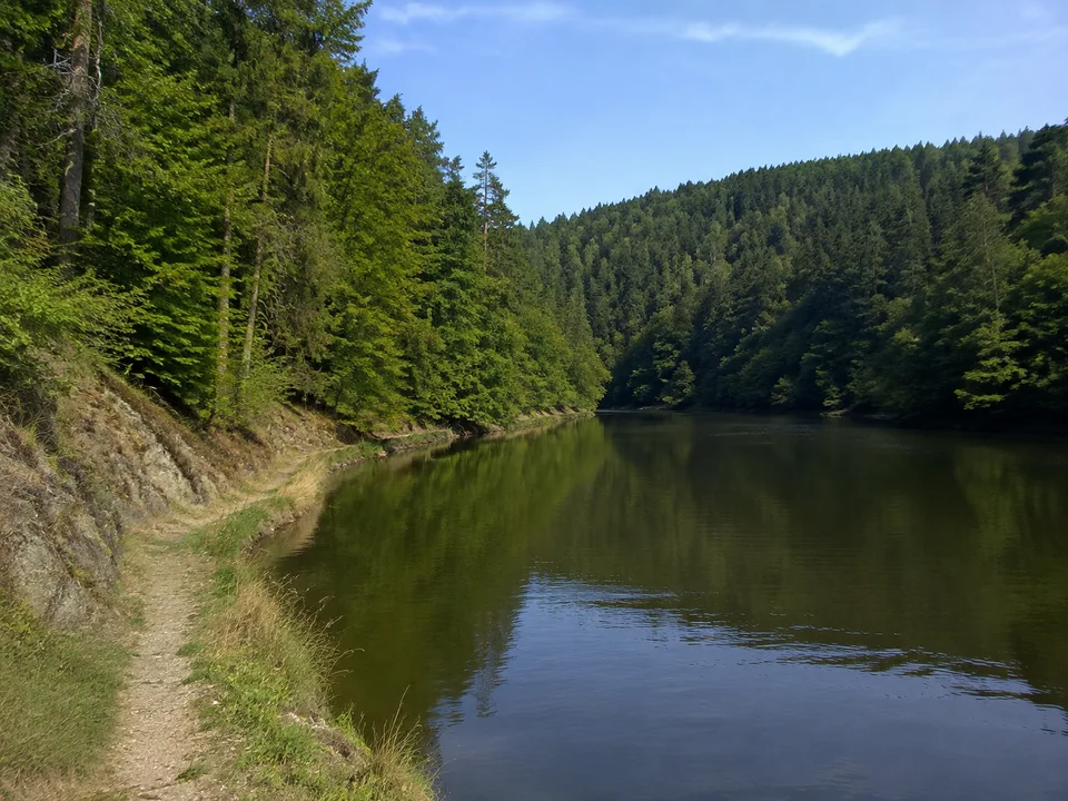 Bucht bei Saalthal: Ruhige tiefe Wasserbucht mit dichtem Mischwald an schrägen Ufern und schmalem Uferpfad