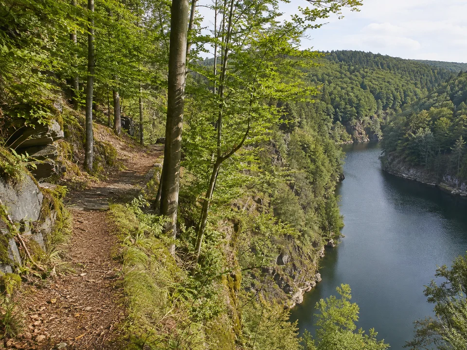 Waldhang über Linkenmühle: Waldweg über einem schmalen tief eingeschnittenen Stauseearm mit Schieferfelsen und Buchen