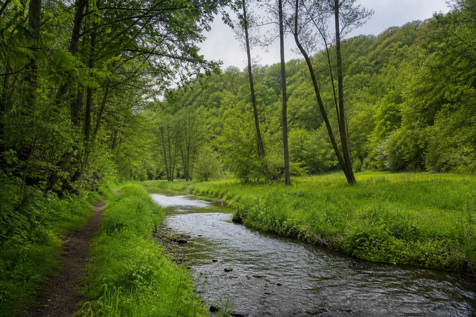 Sülztal unterhalb von Hohkeppel