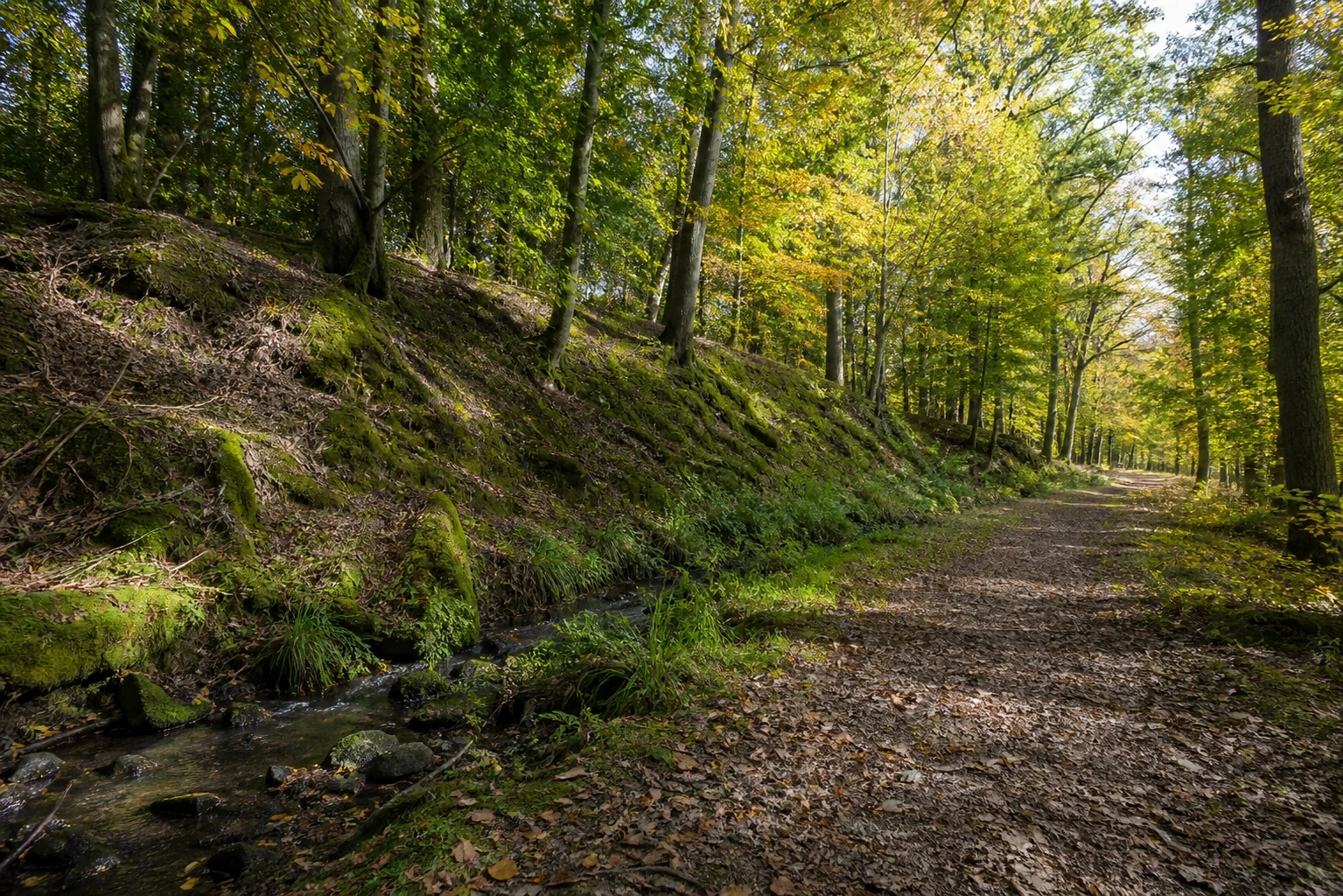 Quabach bei Hohkeppel