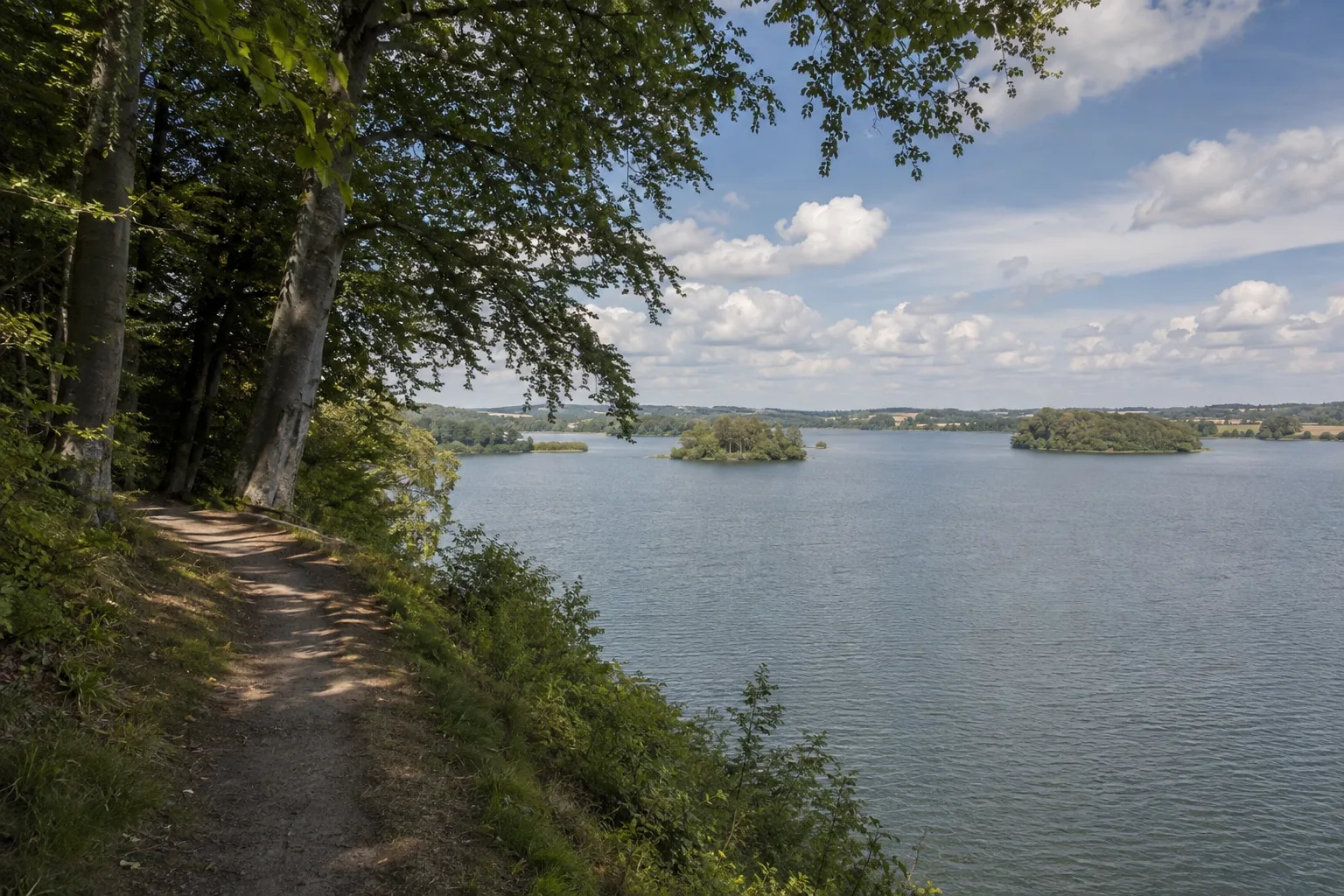 Plöner Seen: bewaldetes Ufer am Großen Plöner See