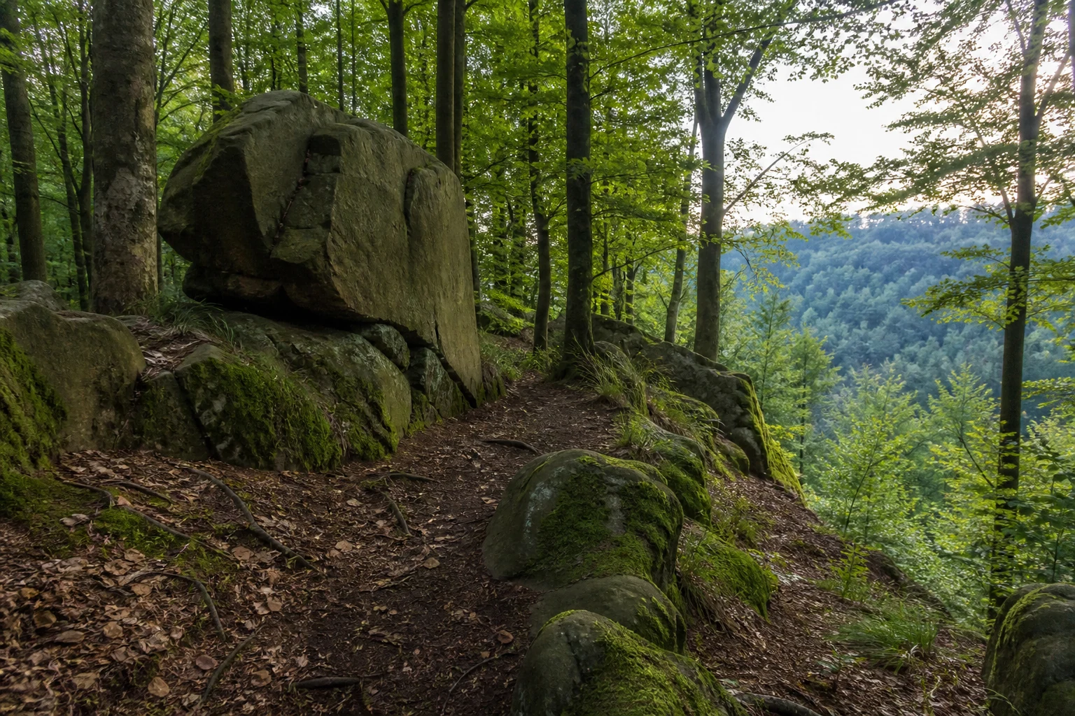 Bärenstein südlich von Holzhausen-Externsteine