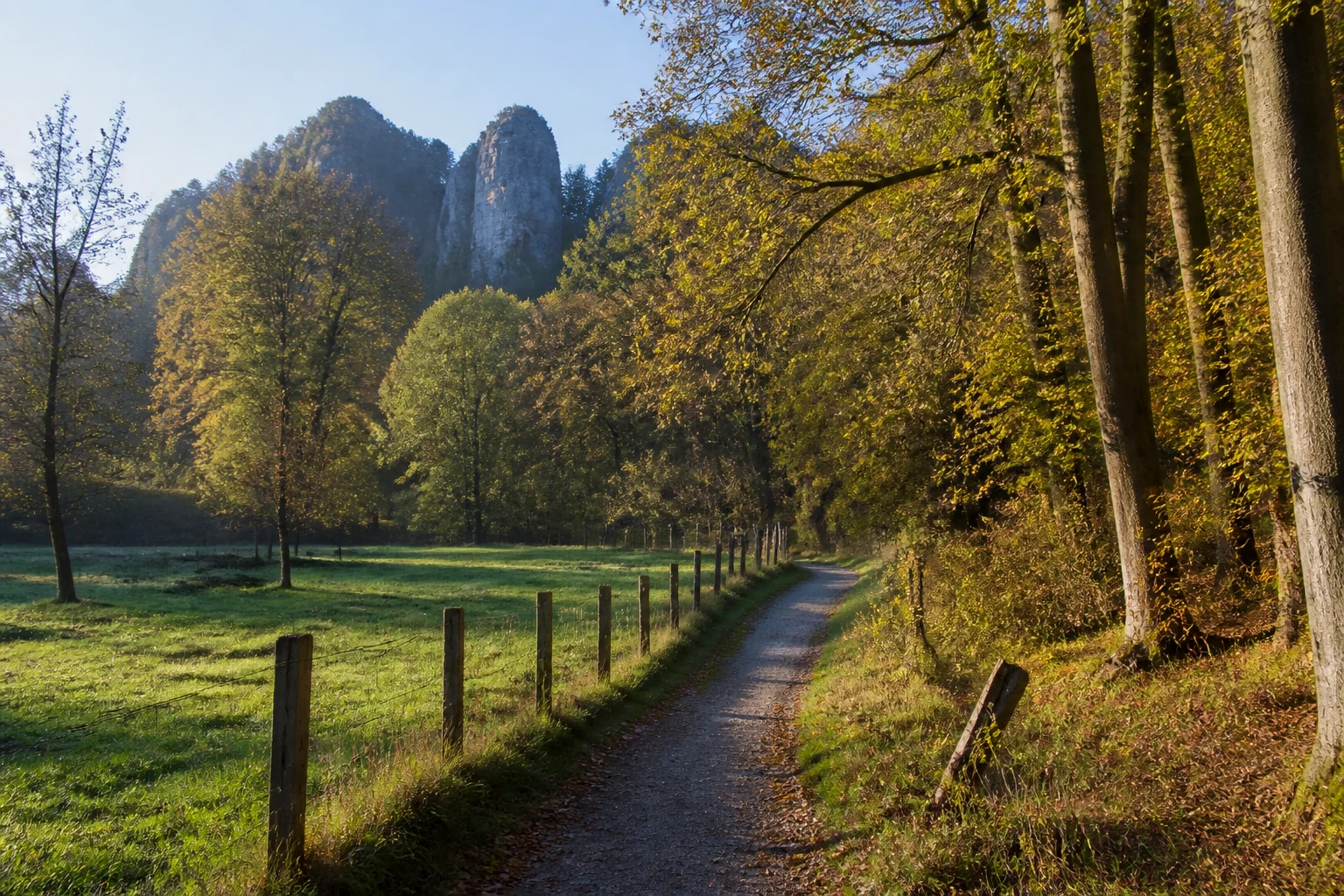 Holzhausen-Externsteine: Waldzugang bei Holzhausen-Externsteine