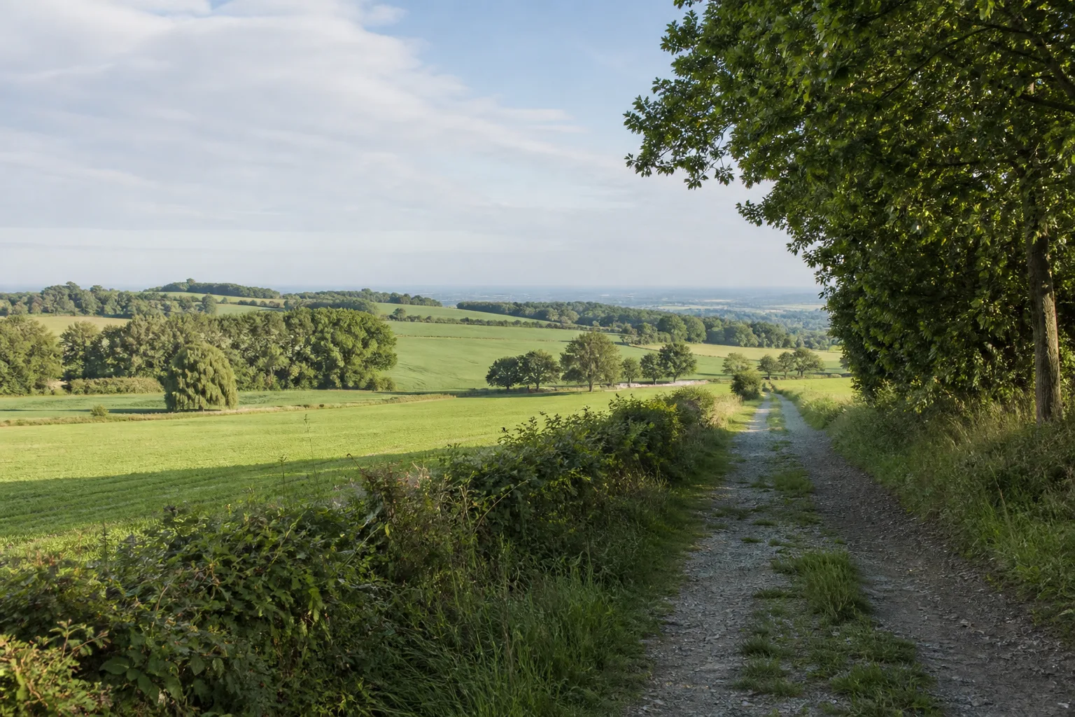 Hengsen und Haarstrang beim Wandern in Holzwickede