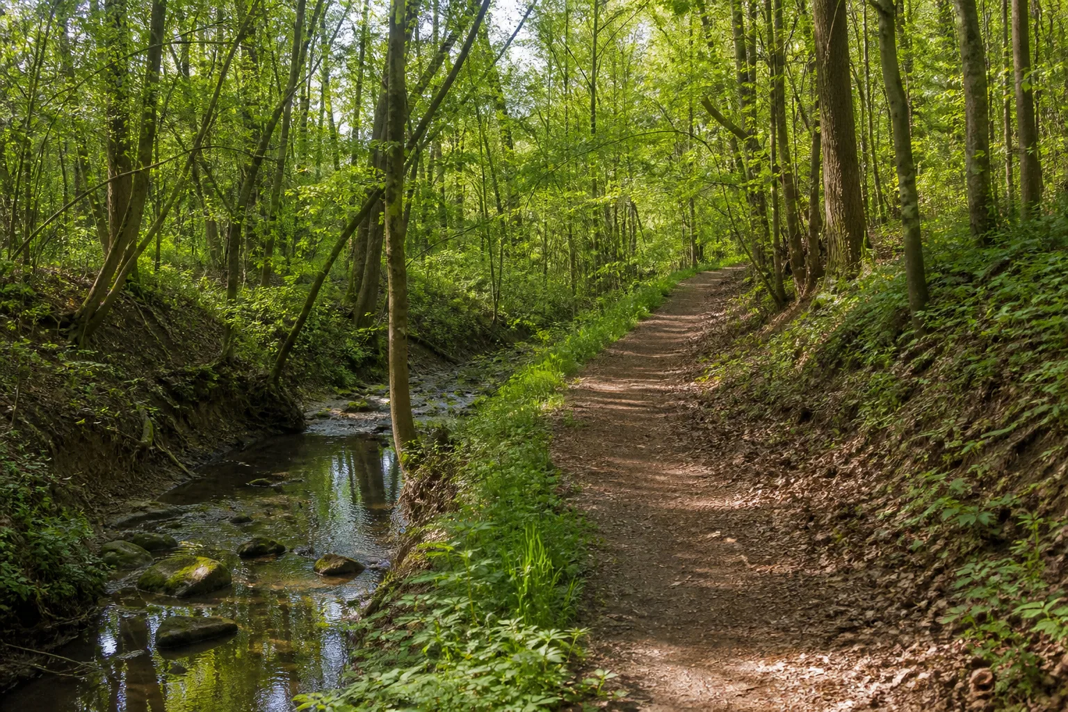 Rausingen und Emscherpark beim Wandern in Holzwickede