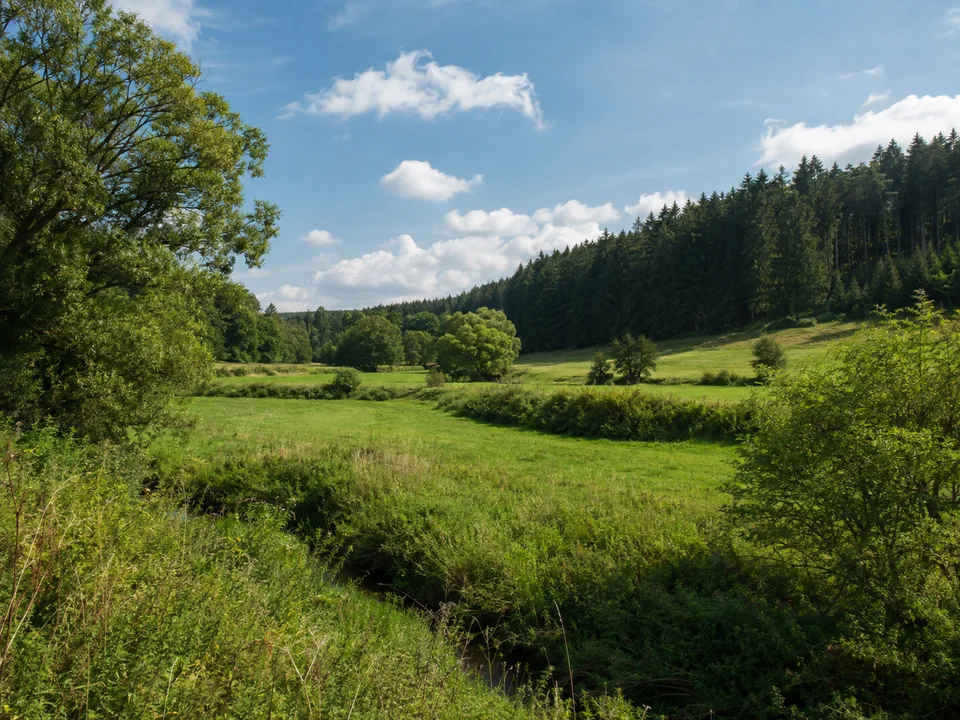 Hülsaer Waldwiesen: Grünes Wiesental mit Bachgehölzen, kleinen Hecken und dunklem Waldsaum