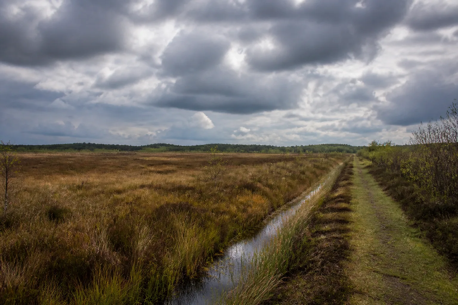 Recker Moor