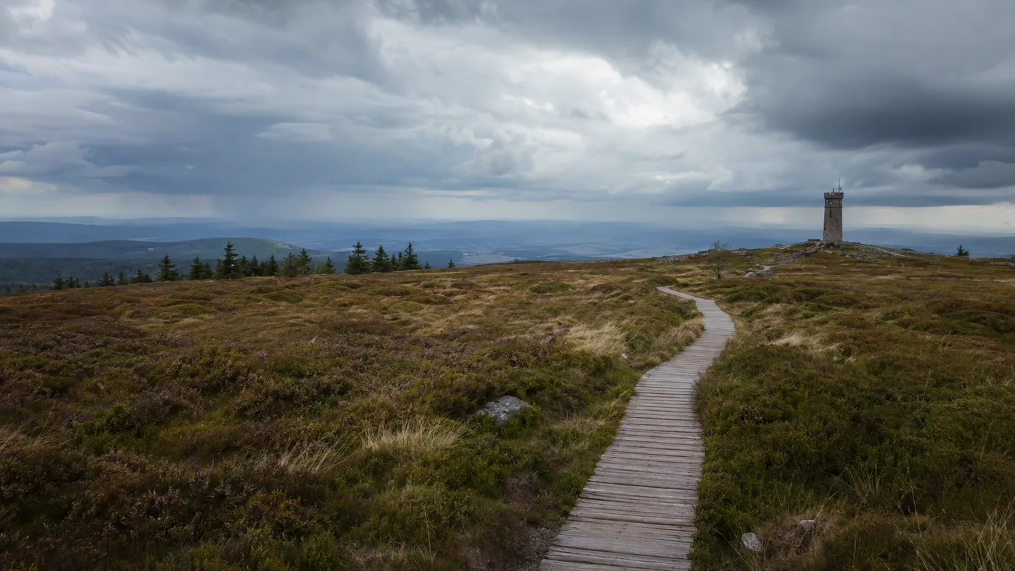 Hornisgrinde: Mummelsee: Hornisgrinde-Plateau: Bohlenweg durch windoffenes Hochmoor mit Aussichtsturm
