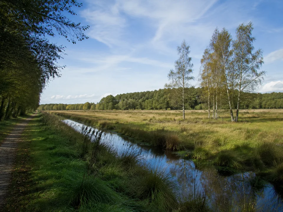 Huder Moorrand: Flache Moorwiese mit Birken und geradem Graben am Übergang von Geest zu Marsch, kleine dunkle Wasserflächen