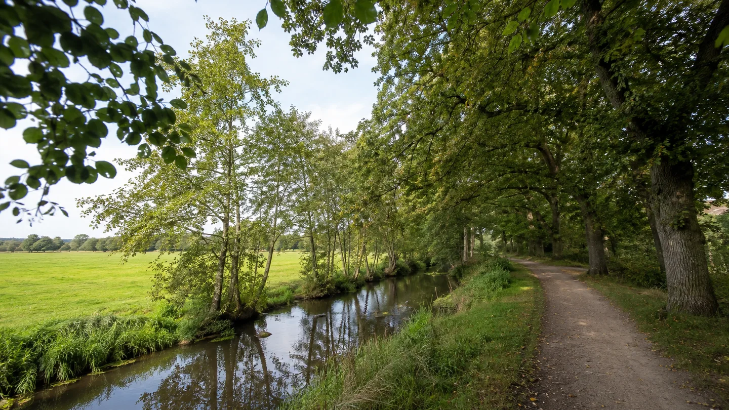 Hude (Oldenburg): Klosterbezirk und Huder Bach: Kleiner Bach mit Gras- und Erlenufersaum an einem öffentlichen Spazierweg, alte Eichen, flache grüne Landschaft