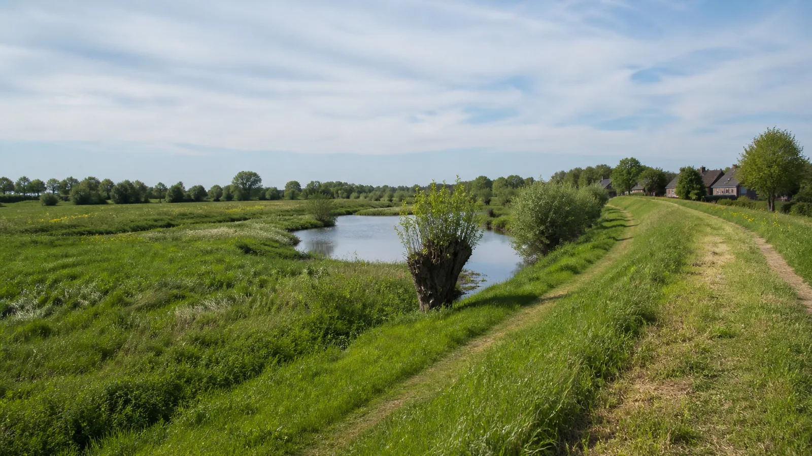 Deichweg in der Lippeaue bei Hünxe-Krudenburg