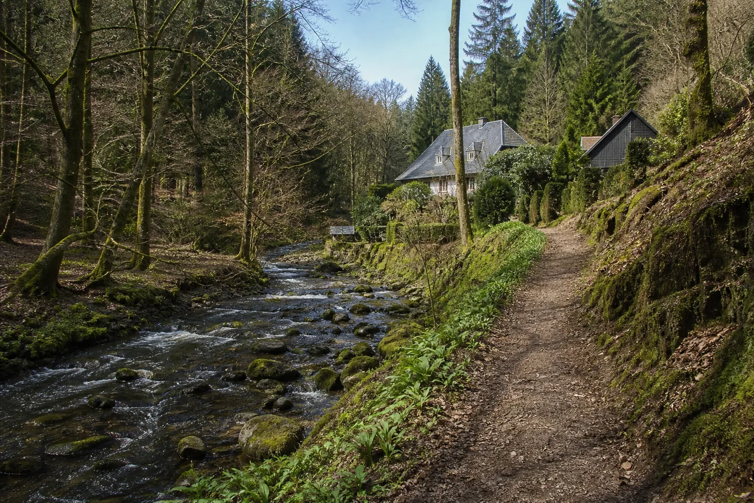 Waldweg im Kalltal bei Simonskall in Hürtgenwald