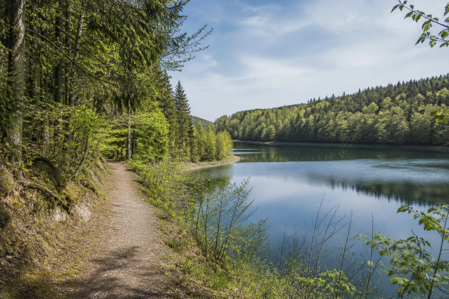 Wanderweg an der Wehebachtalsperre in Hürtgenwald