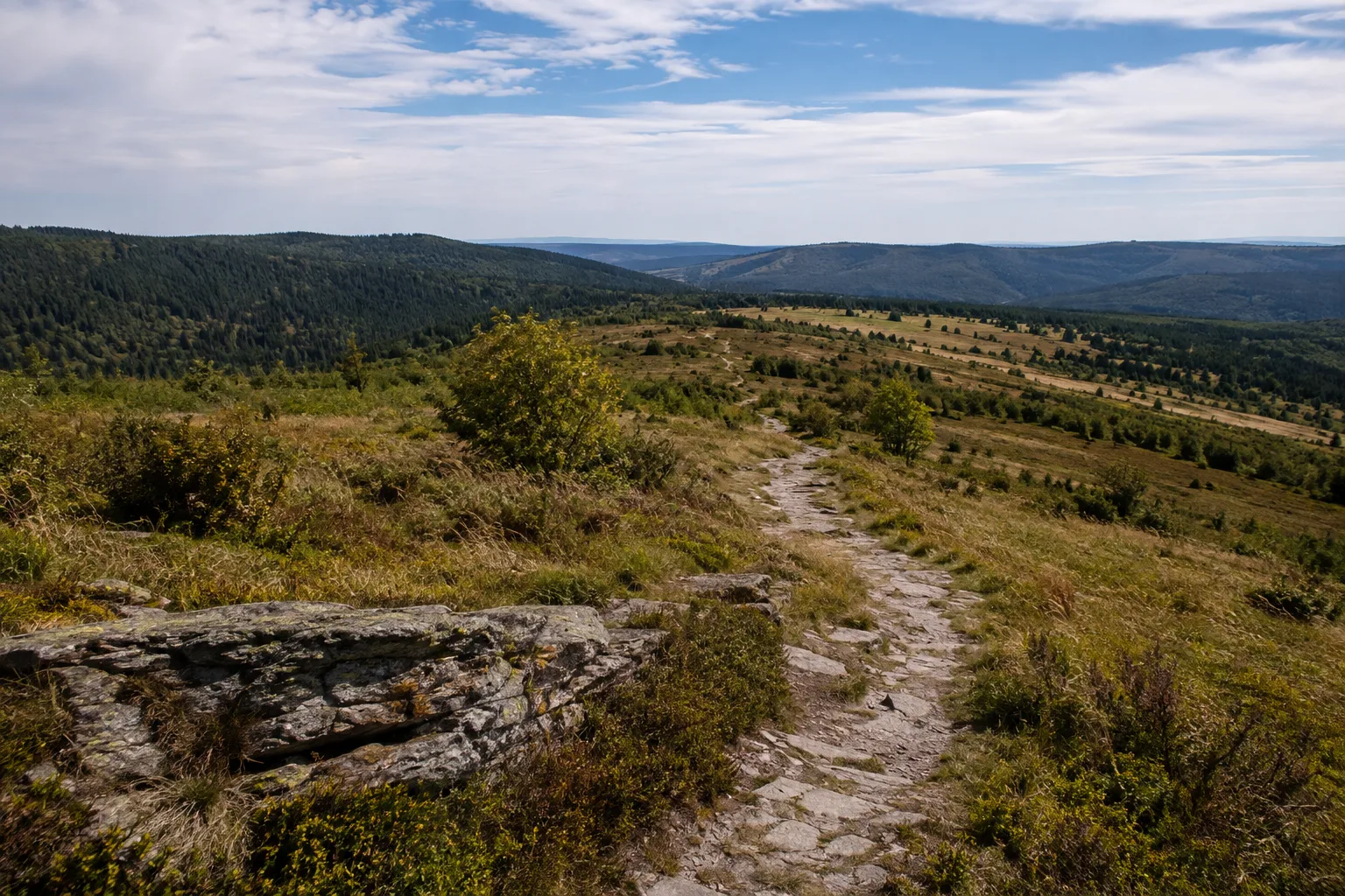 Hunsrück: Hunsrückhaus Erbeskopf: Hunsrück: waldiger Quarzitrücken mit offenen Hochflächen