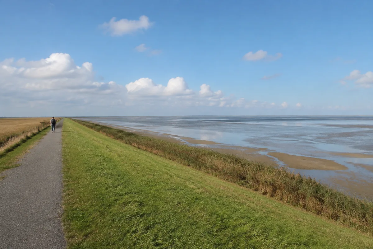 Dockkoog: Grasiger Seedeich mit befestigtem landseitigem Weg und weitem flachem Wattenmeerblick