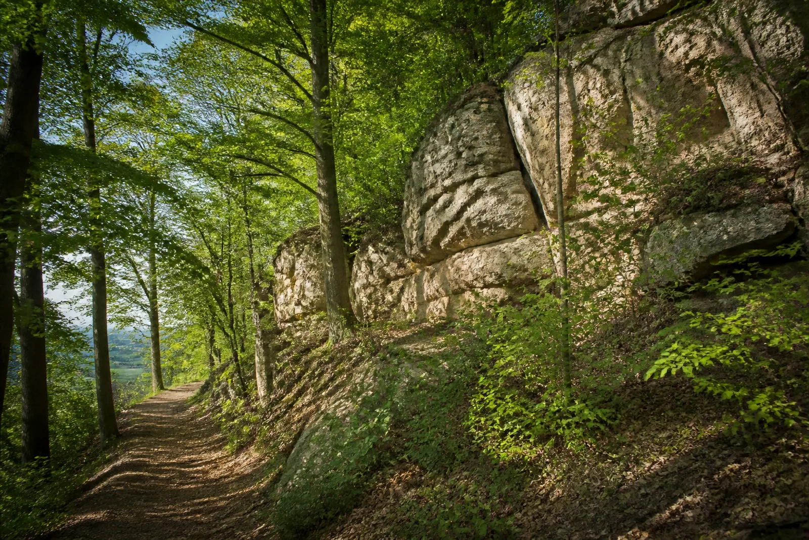 Sandsteinfelsen über einem Waldweg an den Dörenther Klippen bei Ibbenbüren