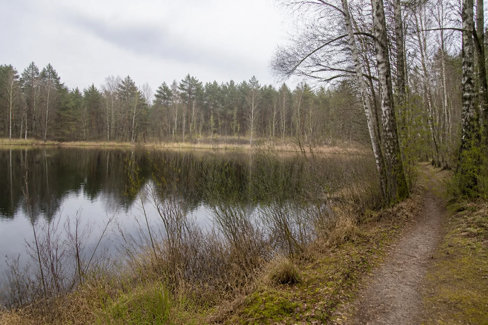 Naturpfad an einem stillen See im Naturschutzgebiet Heiliges Meer