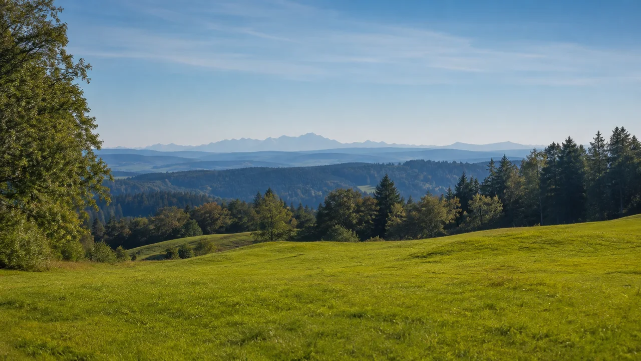 Icking: Icking Bahnhof: Ickinger Höhen: wellige grüne Moränenwiesen über dem Isartal, Waldränder und kleine ferne Alpenkontur