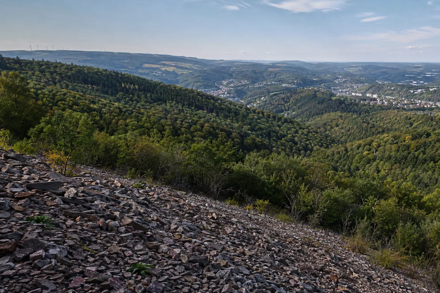 Hunsrückhöhen: Blockhalden und weite Wälder über der Stadt