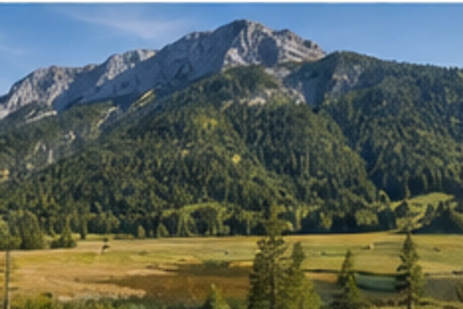 Inzell: Inzeller Tal: Moorwiesen und Höfe unter bewaldeten Bergen