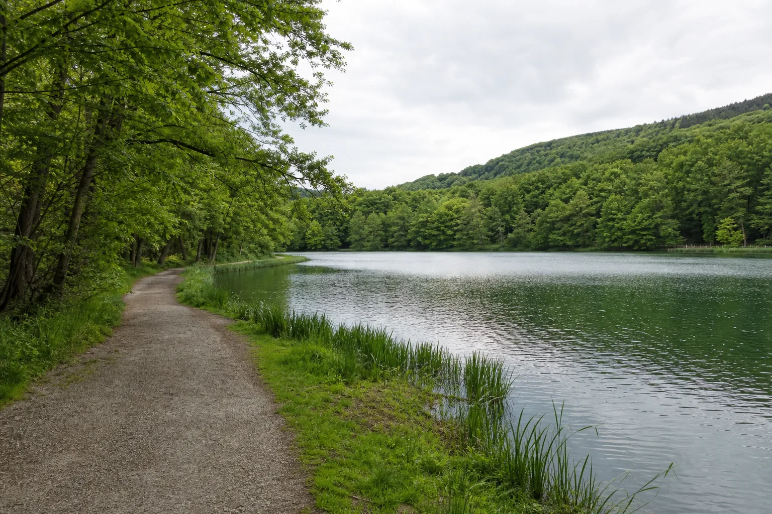 Uferweg am bewaldeten Seilersee in Iserlohn