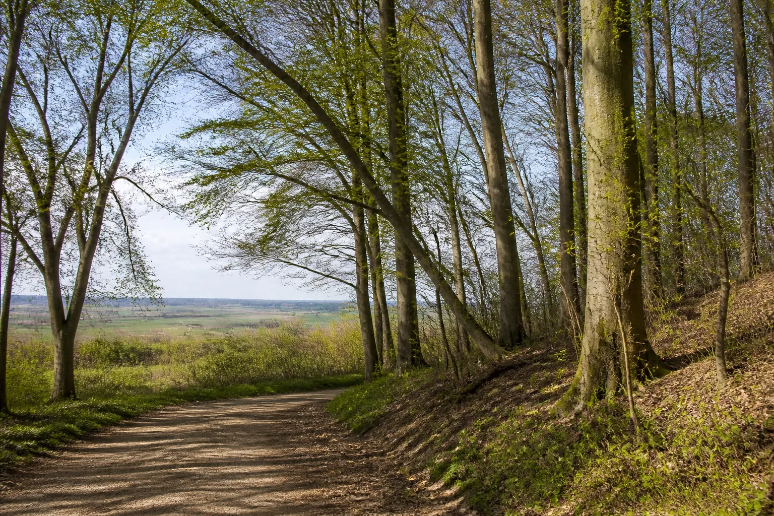 Issum: Landschaft beim Wandern in Issum